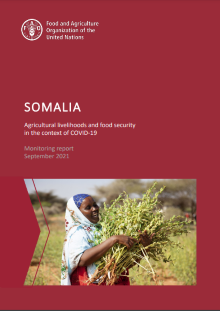 Somalia | Agricultural livelihoods and food security in the context of COVID-19